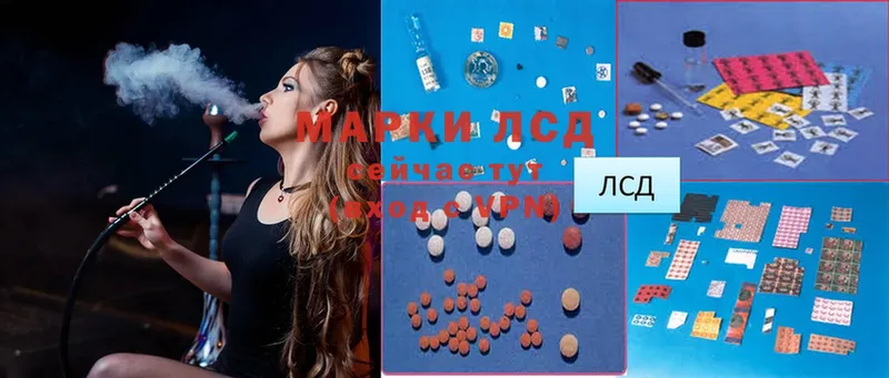 ОМГ ОМГ маркетплейс  Каргополь  ЛСД экстази ecstasy 